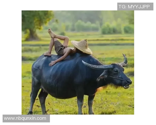 从放牛娃到绿茵场上的明星梦想成真之路